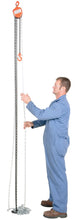 Load image into Gallery viewer, Hand Chain Hoists