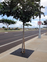 Load image into Gallery viewer, Outdoor Decor