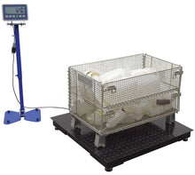 Load image into Gallery viewer, Low Profile Floor Scales